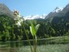 M�nyanthe � trois folioles