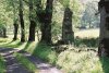 Piste de Prade