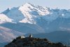 Le Montaigu depuis le B�out