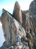 Sur les aiguilles dorees