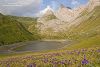 Lac de Lhurs fin juillet