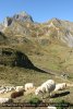 Cabane de Saoubiste