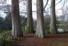 Balade dans le parc de Bourran 1