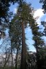 Balade dans le parc de Bourran 4