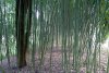Balade dans le parc de Bourran 5