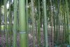 Balade dans le parc de Bourran 7
