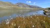 Lac Palluel vu de l'autre c�t�, avec des linaigrettes au premier plan
