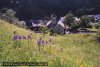 Gavarnie