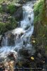 Ruisseau d'Asteuil