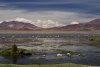 Salar de Tara
