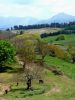 Pr�s du Col de Nabarlatz (vue sur la Rhune)