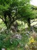 Source sur le flanc de l'Atxuria