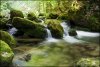 Cirque de Saint M�me - Chartreuse