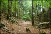 Cirque de Saint M�me - Chartreuse