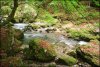 Cirque de Saint M�me - Chartreuse