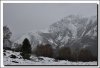 Le soum de N�re