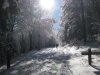 Raquettes en C�vennes