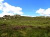 Randonn�e plateau de l'Aubrac Col de Bonnecombe