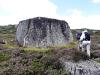Randonn�e plateau de l'Aubrac Col de Bonnecombe