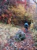 Randonn�e p�destre sur le Plateau de l'Aubrac en Aveyron (12) La Voie Romaine
