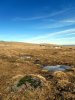 Randonn�e Aubrac entre les village de Laguiole et d'Aubrac