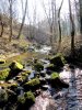 Balade depuis le Monast�re sous Rodez jusqu'� Combelles