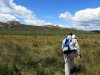 Randonn�e Aubrac: pr�s du Col de Bonnecombe 