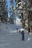 Ski de fond dans la for�t sur le domaine de Payolle