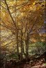 Couleurs d'automne