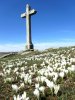 Rando Aubrac: Croix devant le Lac de Saint And�ol, pr�s du Col de Bonnecombe, en Loz�re