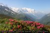 Mont Blanc 