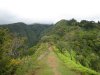 Randonn�e au Mont Aorai � Tahiti