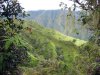 Randonn�e au Mont Aorai � Tahiti