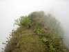 Randonn�e au Mont Aorai � Tahiti