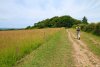 Randonn�e dans le domaine d'Abbadia - Pays Basque