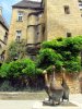 Oies sur la place de Sarlat la Can�da