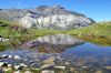 Reflet