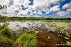 Balade � l'�tang de L�on