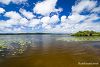 Balade � l'�tang de L�on
