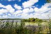 Balade � l'�tang de L�on
