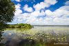 Balade � l'�tang de L�on