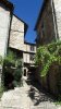 Ruelle pav�e et grimpante de Sainte Enimie