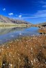 Lac Palluel