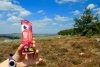 Gel Mulebar � la cerise sur l'Aubrac