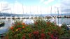 Port d'Yvoire, sur le bord du Lac L�man