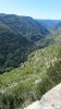 Gorges du Tarn depuis le belv�d�re