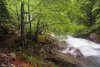 Chemin des cascades au dessus de Cauterets