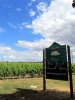 Ch�teau Grand Barrail � St Emilion 