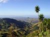 Monteverde Road
