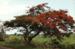Guadeloupe